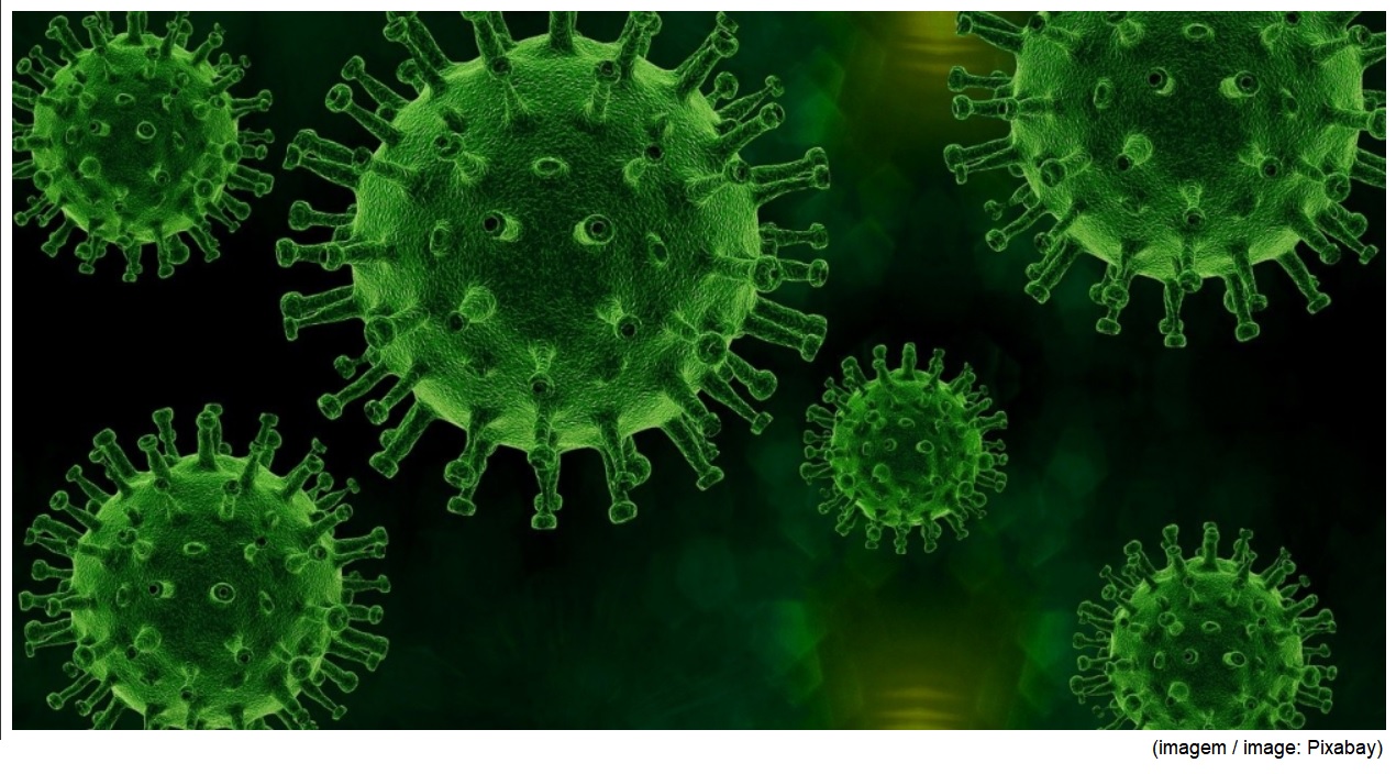 Researchers at the University of São Paulo find coronavirus in gum tissue of COVID-19 patients