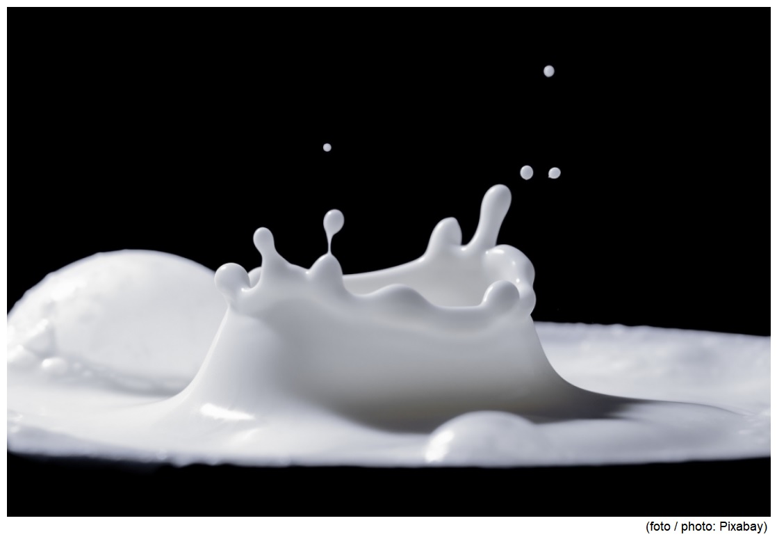 Soybean and linseed oils added to cows’ diet improve the quality of milk for human consumption