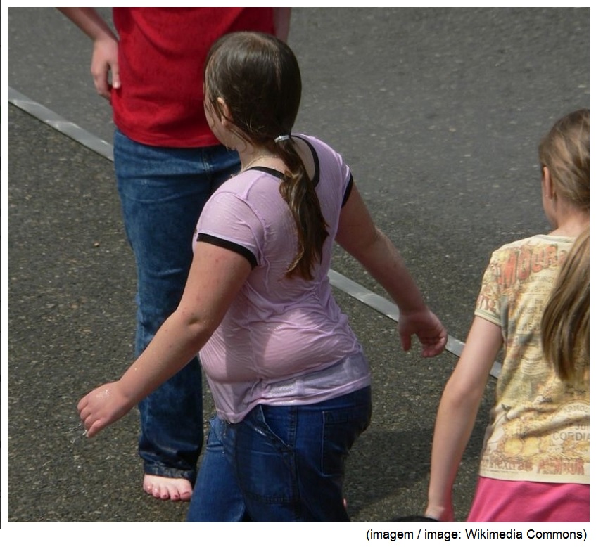 Obese girls face heightened risk of cardiovascular disease in adulthood more often than obese boys
