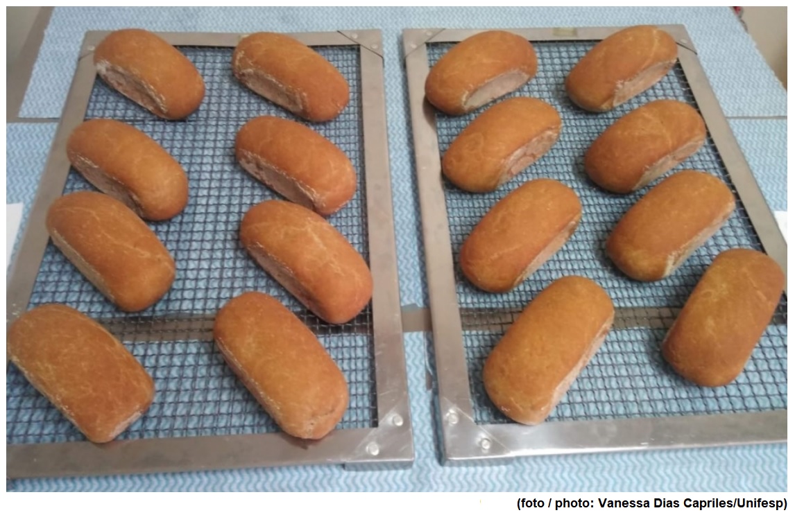Grupo inova na fabricação de pão sem glúten, criando produto mais palatável e com alto valor nutricional