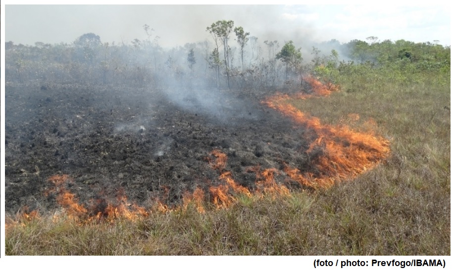Pesquisadores usam dados de radar para mensurar o impacto do fogo na Amazônia