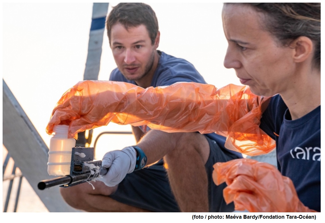 Climate change will alter functioning of marine microbial communities, study shows