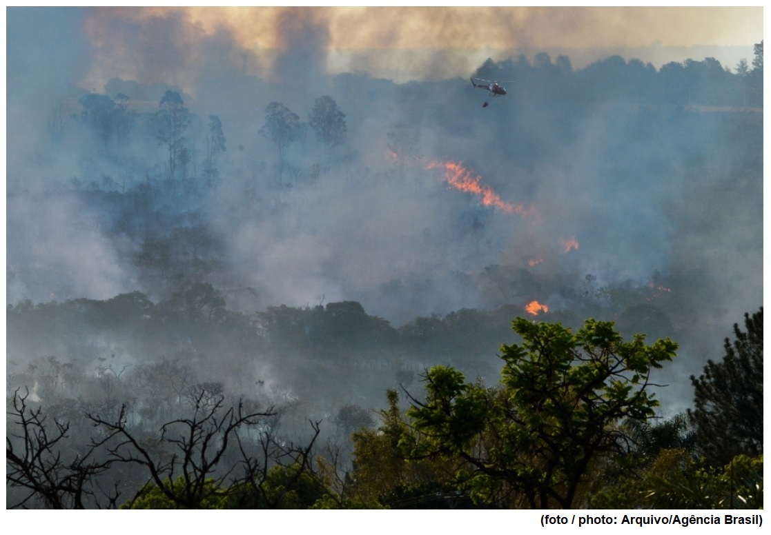 Scientists discover how forest fires influence rain cloud formation in the Amazon