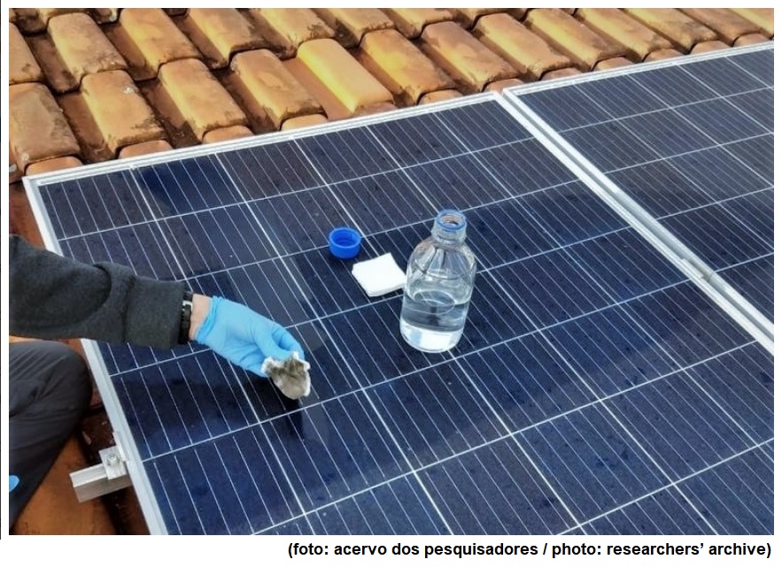Photovoltaic panels are home to microorganisms with potential biotech applications