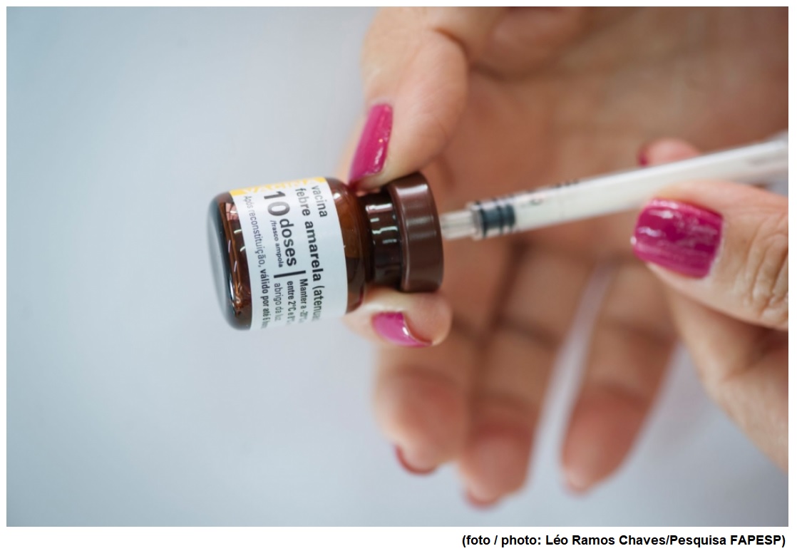 Change in vaccination strategy averted outbreak of urban yellow fever in São Paulo, scientists say