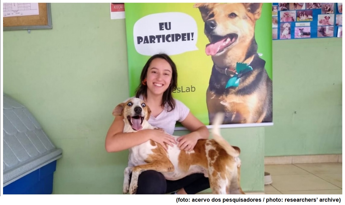 Life experience shapes dogs’ interaction with humans