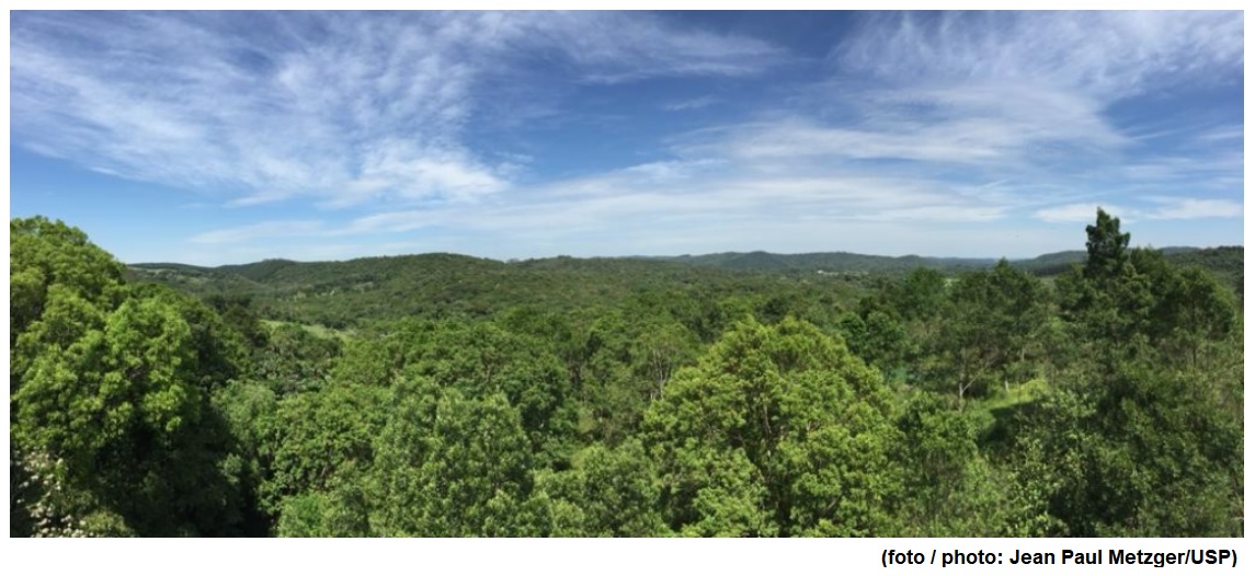 A conservation incentive yields increase of protected Atlantic Rainforest areas, but with limited results