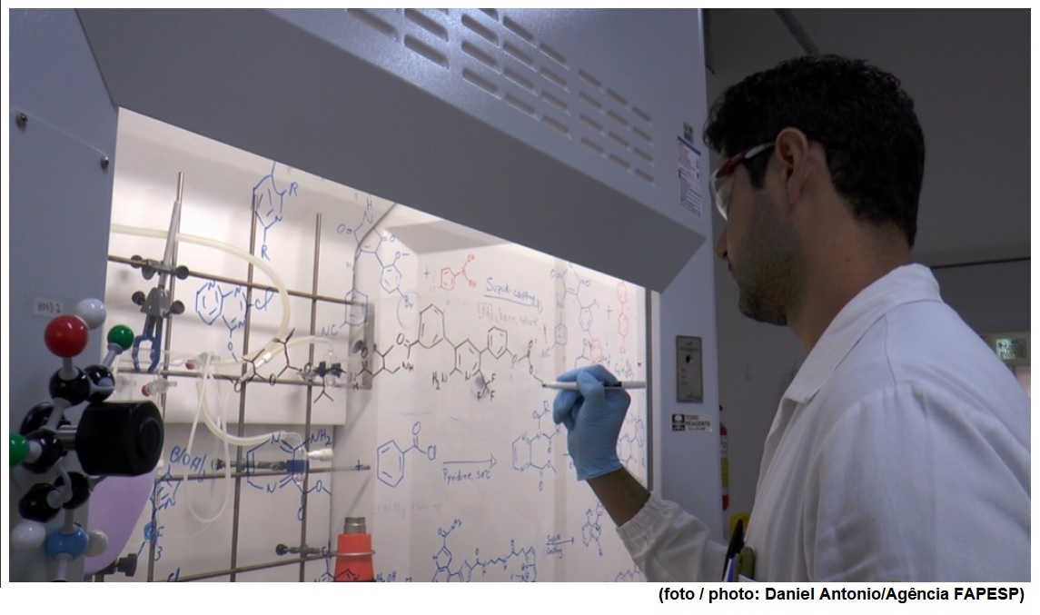 Molecules isolated from natural products are strategic to combat neglected diseases