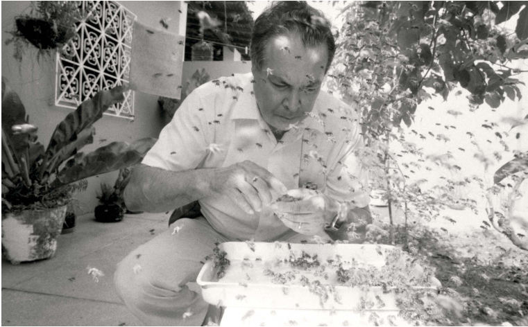 Kerr em 1986 no Maranhão, onde formou apiários e novos grupos de pesquisa (crédito: Acervo SBPC)